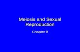 Meiosis and Sexual Reproduction Chapter 9. Asexual Reproduction Single parent produces offspring All offspring are genetically identical to one another.