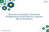 © 2012 IBM Corporation Business Analytics Channel Enablement Overview for Ingram Micro Partners.