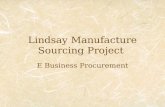 Lindsay Manufacture Sourcing Project E Business Procurement.