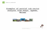 Examples of partial sub-sector analyses from Kenya, Uganda, Malawi.