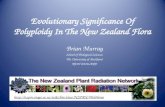 Evolutionary Significance Of Polyploidy In The New Zealand Flora Brian Murray School of Biological Sciences The University of Auckland NEW ZEALAND .