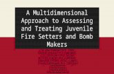 A Multidimensional Approach to Assessing and Treating Juvenile Fire Setters and Bomb Makers Dr. Ronn Johnson, Ph.D., ABPP Berenis Gonzalez, M.A. Candidate.
