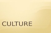 Culture consists of all the shared values, beliefs and practices of human groups.
