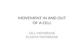 MOVEMENT IN AND OUT OF A CELL CELL MEMBRANE PLASMA MEMBRANE.
