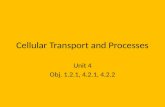 Cellular Transport and Processes Unit 4 Obj. 1.2.1, 4.2.1, 4.2.2.