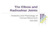 The Elbow and Radioulnar Joints Anatomy and Physiology of Human Movement 420:050.