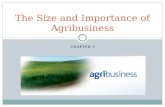 CHAPTER 3 The Size and Importance of Agribusiness.