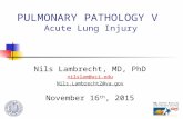 PULMONARY PATHOLOGY V Acute Lung Injury Nils Lambrecht, MD, PhD nilslam@uci.edu Nils.Lambrecht2@va.gov November 16 th, 2015.