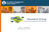 Research Group  M. Cecília C. Baranauskas Institute of Computing, UNICAMP Campinas, SP, BRAZIL NIED — UNICAMP November 24 th,