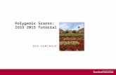 Polygenic Scores: IGSS 2015 Tutorial BEN DOMINGUE.
