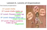Lesson 5 - Levels of Organization The 5 levels of organization 2 nd Level--Cells make up tissues 3 rd Level--Tissues make up organs 4 th Level--Organs.