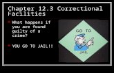 Chapter 12.3 Correctional Facilities What happens if you are found guilty of a crime? YOU GO TO JAIL!!