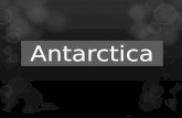 Antarctica. Antarctica - is the world’s fifth largest and southernmost continent and it is mostly covered with ice.