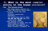 Q: What is the most complex entity in the known universe ? A: The human brain A: The human brain The human brain consists of about 100 billion nerve cells!