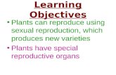 Learning Objectives Plants can reproduce using sexual reproduction, which produces new varieties Plants have special reproductive organs.