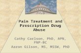 Pain Treatment and Prescription Drug Abuse Cathy Carlson, PhD, APN, FNP-BC Aaron Gilson, MS, MSSW, PhD.