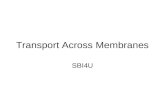 Transport Across Membranes SBI4U. Importance of Transport intake of nutrients removal of wastes communication with environment & other cells blocking.