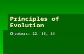 Principles of Evolution Chapters: 12, 13, 14 How did life begin? How did life begin?How did life begin?How did life begin?