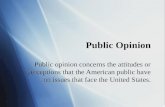 Public Opinion Public opinion concerns the attitudes or perceptions that the American public have on issues that face the United States.