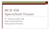 BCH 450 Specialized Tissues Dr. Samina Hyder Haq Dept of Biochemistry King Saud University.