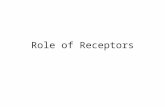 Role of Receptors. Sensory Reception CNS receives sensory information from internal and external environment through a variety of sense cells and organs.