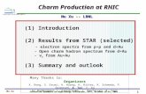 Nxu/tex3/TALK/2004/10USTC Collective Dynamics in High-Energy Collisions, USTC, October 18-19, 2004 Nu Xu 1 Charm Production at RHIC (1) Introduction.