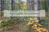 Changes in Ecosystems: Ecological Succession Know this for the quiz.