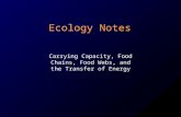 Ecology Notes Carrying Capacity, Food Chains, Food Webs, and the Transfer of Energy.