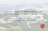 Lecture 7. Topics in RNA Bioinformatics (Identification of RNA Structures) The Chinese University of Hong Kong CSCI5050 Bioinformatics and Computational.