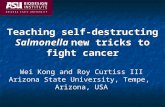 Teaching self-destructing Salmonella new tricks to fight cancer Wei Kong and Roy Curtiss III Arizona State University, Tempe, Arizona, USA.