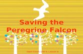 Saving the Peregrine Falcon Open Court: Unit 5_Lesson 5.