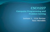 Lecture 1: 1226 Review Tami Meredith. Outline Overview of Programming Java Programs Lots of Introduction Goal.
