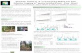 Biometric Measures of Carbon Cycling Before and After Selective Logging in Tapajós National Forest - Para - Brasil 1,2 Figueira, A.M.S.; 3 Sousa,C.A.;