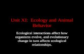 Unit XI: Ecology and Animal Behavior Ecological interactions affect how organisms evolve, and evolutionary change in turn affects ecological relationships.