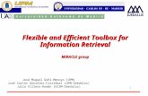 1 Flexible and Efficient Toolbox for Information Retrieval MIRACLE group José Miguel Goñi-Menoyo (UPM) José Carlos González-Cristóbal (UPM-Daedalus) Julio.