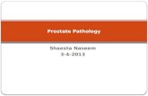 Shaesta Naseem 3-4-2013 Prostate Pathology. Prostate gland Prostate weighs 20 grams in normal adult Retroperitoneal organ,encircling the neck of bladder.