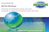 Event Brief for WITSA Meetings November 10; Renaissance Hotel, Sao Paulo November 11; Rebouças Convention Center, Sao Paulo .