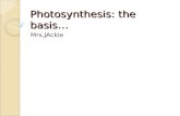 Photosynthesis: the basis… Mrs.JAckie. State the photosynthesis involves the conversion of light energy into chemical energy Light is converted into chemical.