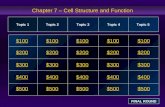 Chapter 7 – Cell Structure and Function $100 $200 $300 $400 $500 $100$100$100 $200 $300 $400 $500 Topic 1Topic 2Topic 3Topic 4 Topic 5 FINAL ROUND.