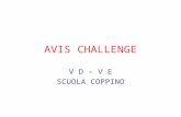 AVIS CHALLENGE V D – V E SCUOLA COPPINO. THE STORY The teacher this year decided to aprtecipate to the AVIS challenge.We have never done before so it.