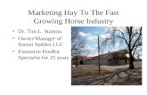 Marketing Hay To The Fast Growing Horse Industry Dr. Tim L. Stanton Owner/Manager of Sunset Stables LLC Extension Feedlot Specialist for 25 years.