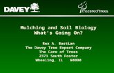 Mulching and Soil Biology What’s Going On? Rex A. Bastian The Davey Tree Expert Company The Care of Trees 2371 South Foster Wheeling, IL 60090.