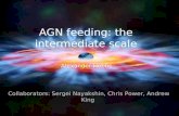 AGN feeding: the intermediate scale Alexander Hobbs Collaborators: Sergei Nayakshin, Chris Power, Andrew King.