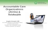 Accountable Care Organizations (ACOs) & Telehealth Angelo Sinopoli, MD VP, Clinical Integration & Chief Medical Officer, Greenville Health System President,