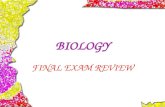 BIOLOGY FINAL EXAM REVIEW. Modern Biology Chapters: Protein Synthesis (Chapter 10) Genetics (Chapter 9) Human Genetics (Chapter 12) Evolution (Chapter.