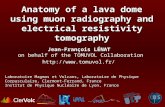 Anatomy of a lava dome using muon radiography and electrical resistivity tomography  Jean-François LÉNAT on behalf of the TOMUVOL.