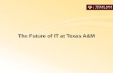 The Future of IT at Texas A&M. ITAC Information Technology Advisory Committee Formed June 2008, sponsored by Dr. Cantrell University wide representation.