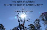THE BOOK OF NUMBERS WHAT IS THE BOOK OF NUMBERS ABOUT? BY HAROLD HARSTVEDT.