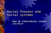 Social Process and social systems How do individuals create society?