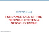 Copyright © 2010 Pearson Education, Inc. FUNDAMENTALS OF THE NERVOUS SYSTEM & NERVOUS TISSUE CHAPTER # 11(c)